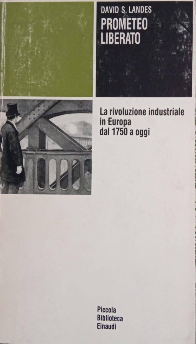 Prometeo liberato: Trasformazioni tecnologiche e sviluppo industriale nell'Europa occidentale dal 1750 ai giorni nostri (Piccola biblioteca Einaudi. Nuova serie Vol. 45)