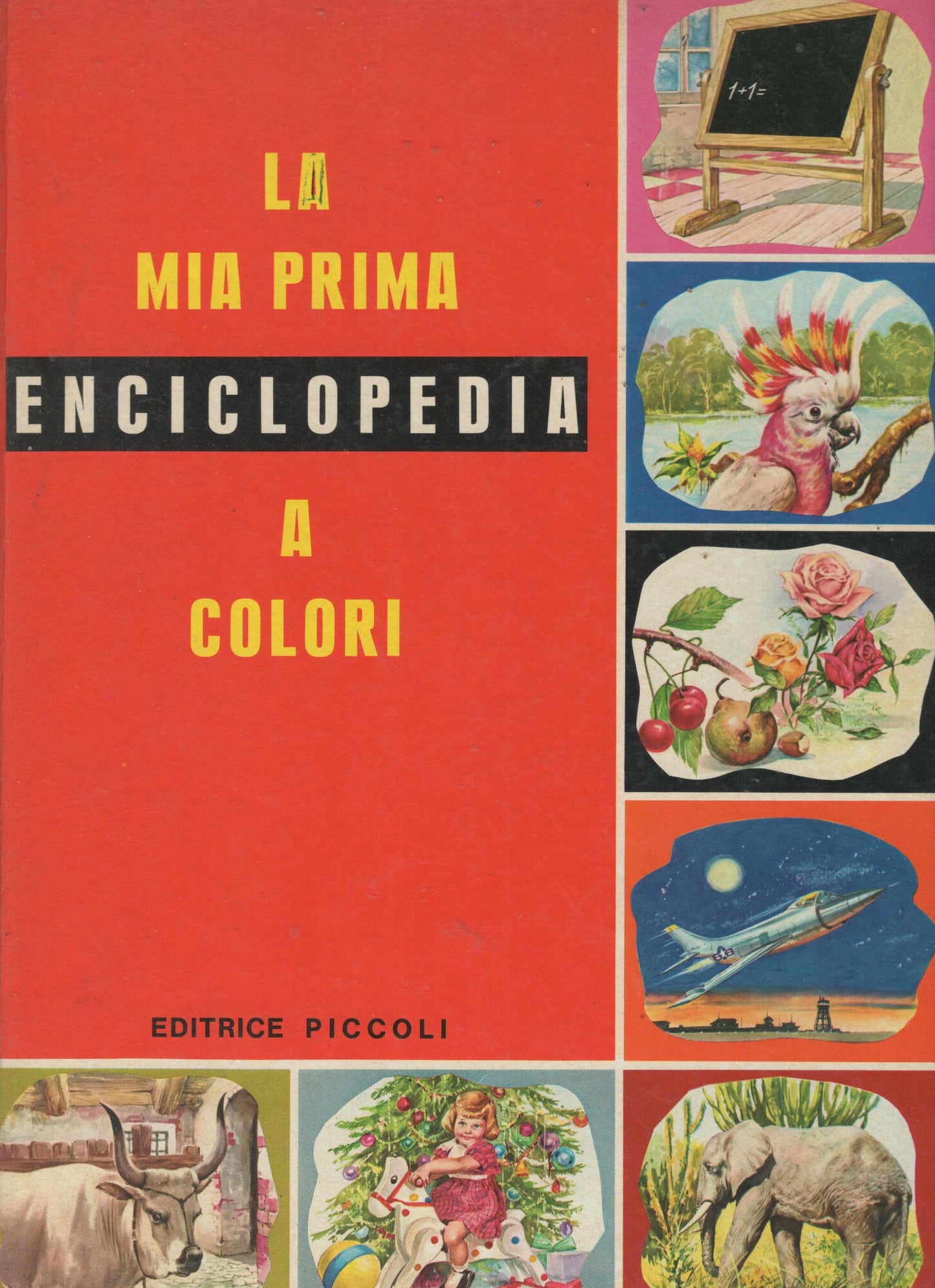la mia prima enciclopedia a colori