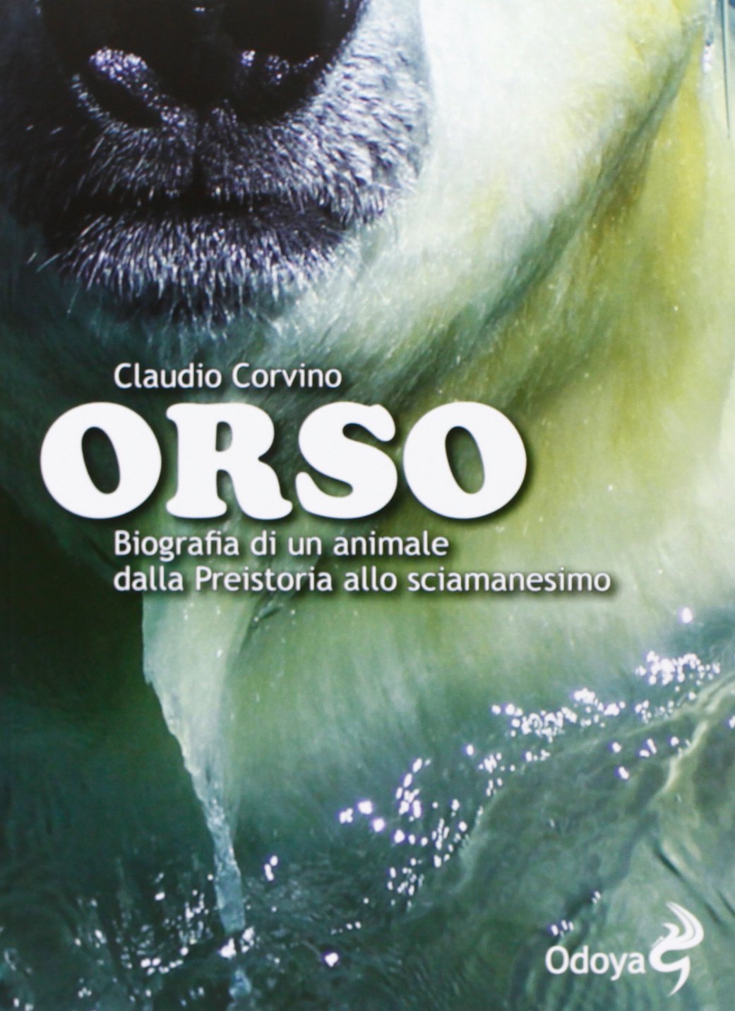 Orso. Biografia di un animale dalla preistoria allo sciamanesimo