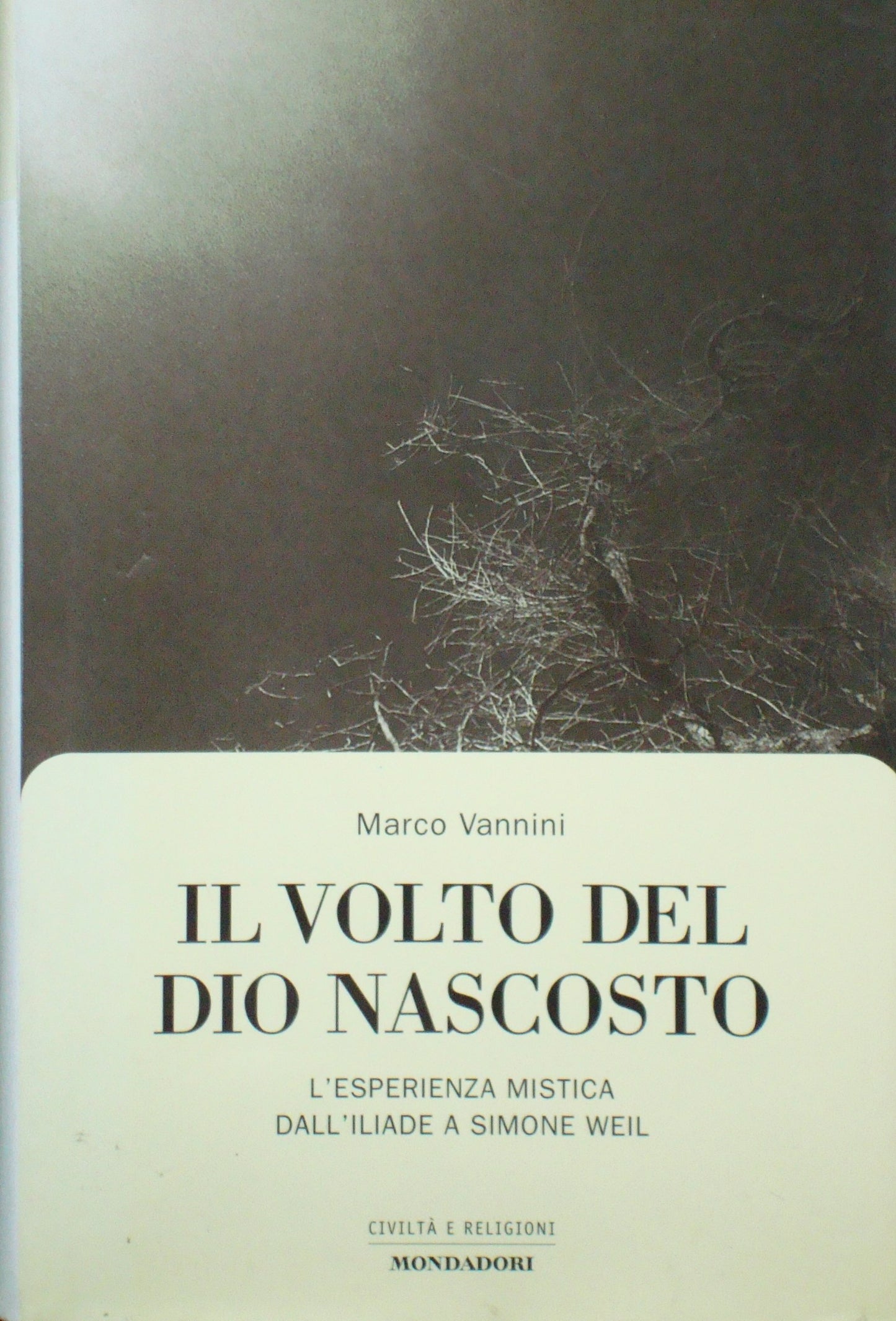 Il volto del Dio nascosto