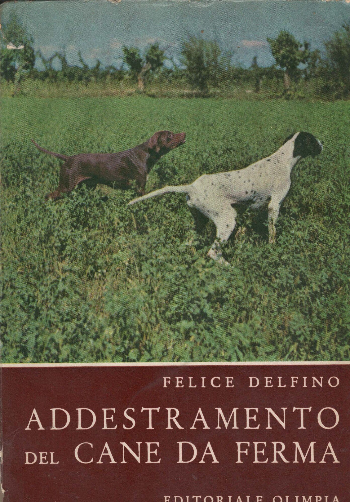ADDESTRAMENTO DEL CANE DA FERMA