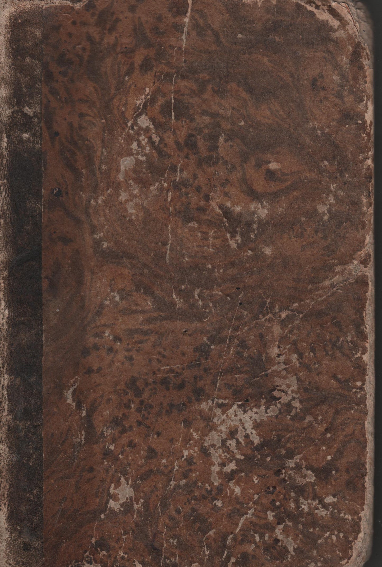 IL LIBRO DELL'ADOLESCENZA