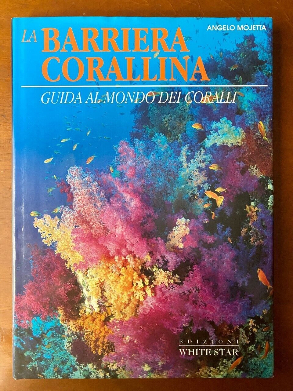 La barriera corallina. Guida al mondo dei coralli.