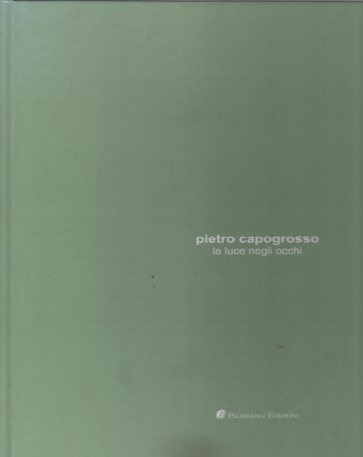 PIETRO CAPOGROSSO LA LUCE NEGLI OCCHI - PALMISANO EDIZIONI
