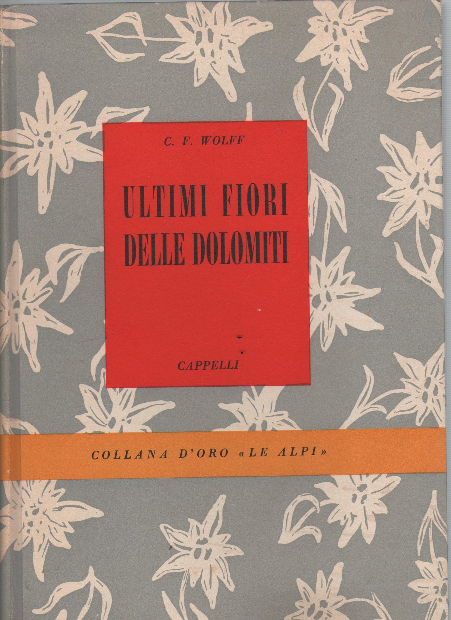 Ultimi fiori delle dolomiti - C. F. Wolff - Cappelli