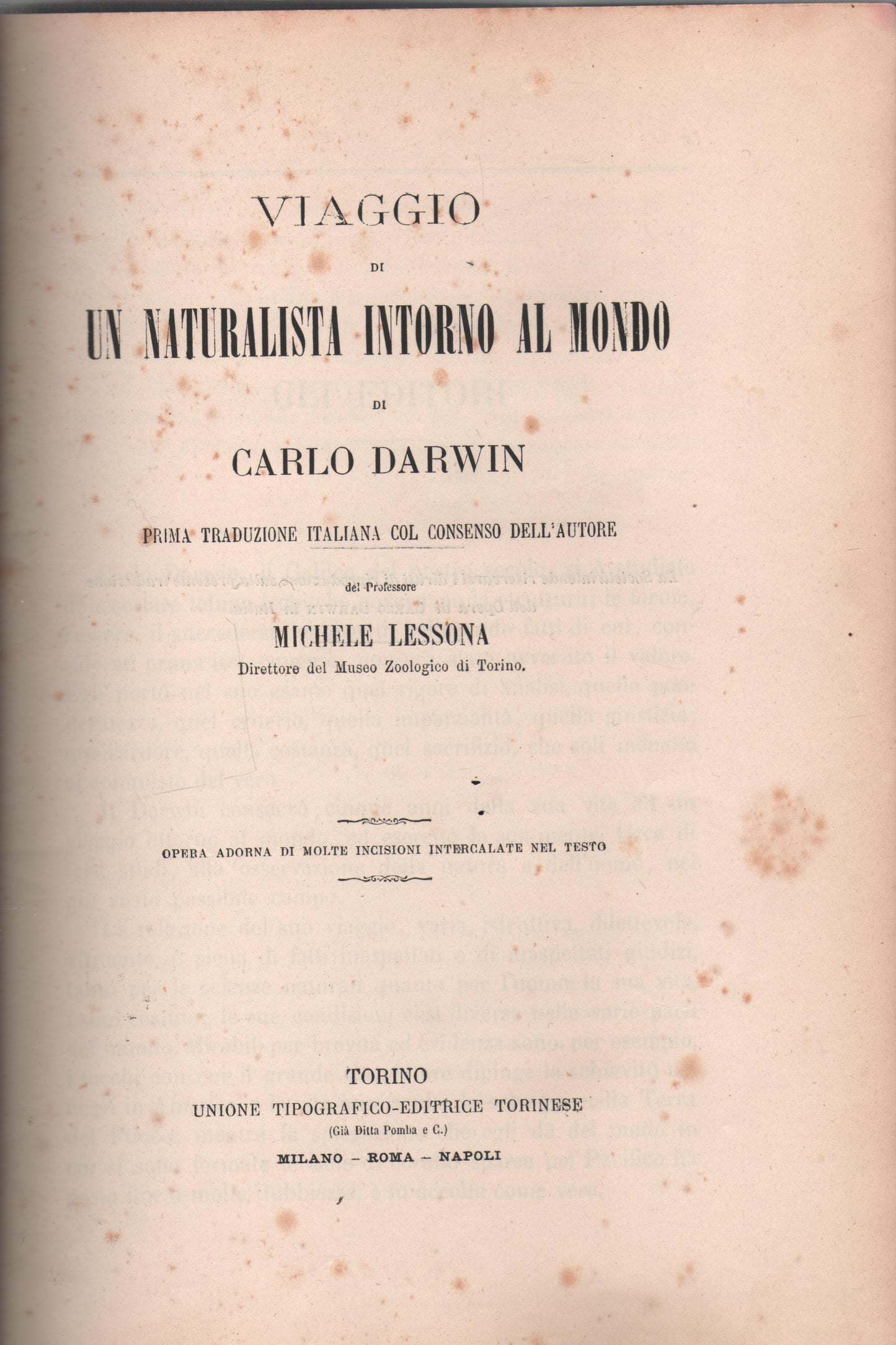VIAGGIO DI UN NATURALISTA INTORNO AL MONDO - DARWIN- UNIONE TIPOGRAFICA EDITRICE TORINO
