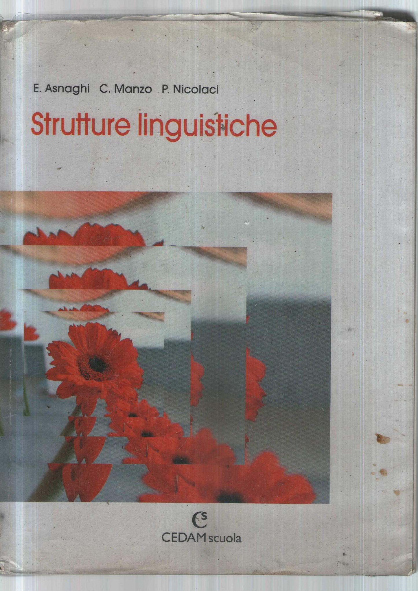 STRUTTURE LINGUISTICHE