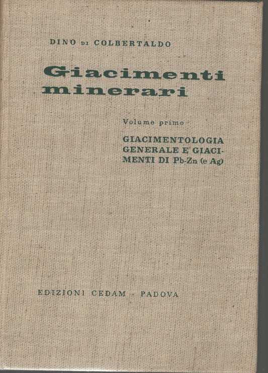 Giacimenti minerari. Giacimentologia generale e giacimenti di piombo-zinco (E argento) (Vol. 1)