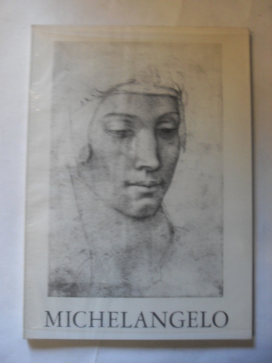 MICHELANGELO