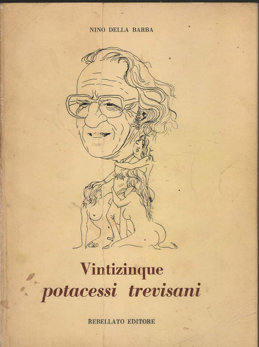 VINTIZINQUE POTACESSI  TREVISANI
