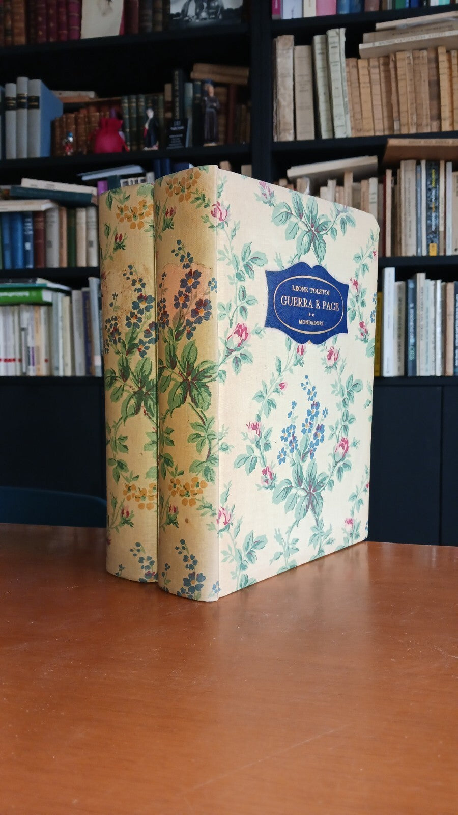 Guerra e Pace 2 volumi
