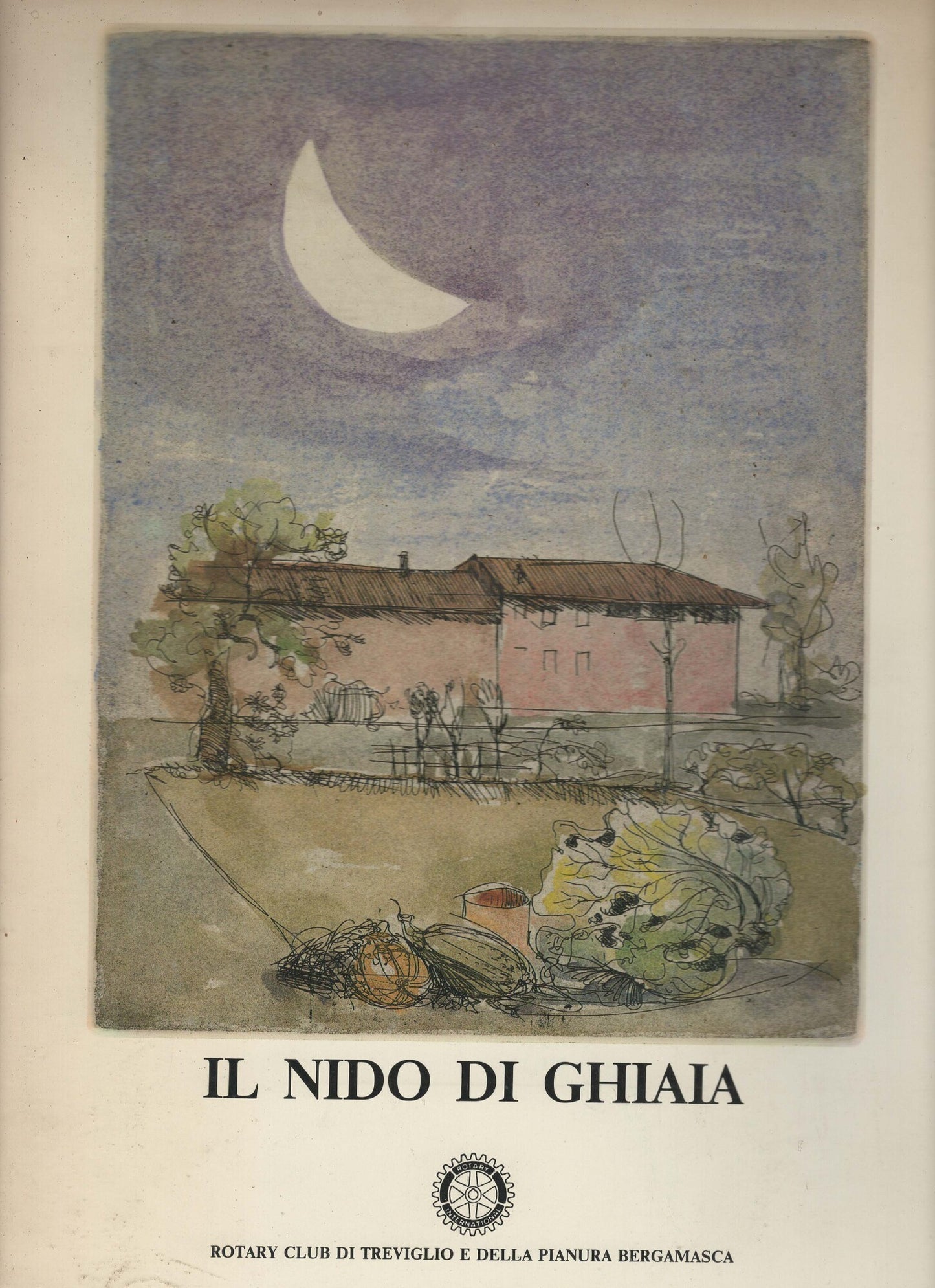 Il nido di ghiaia