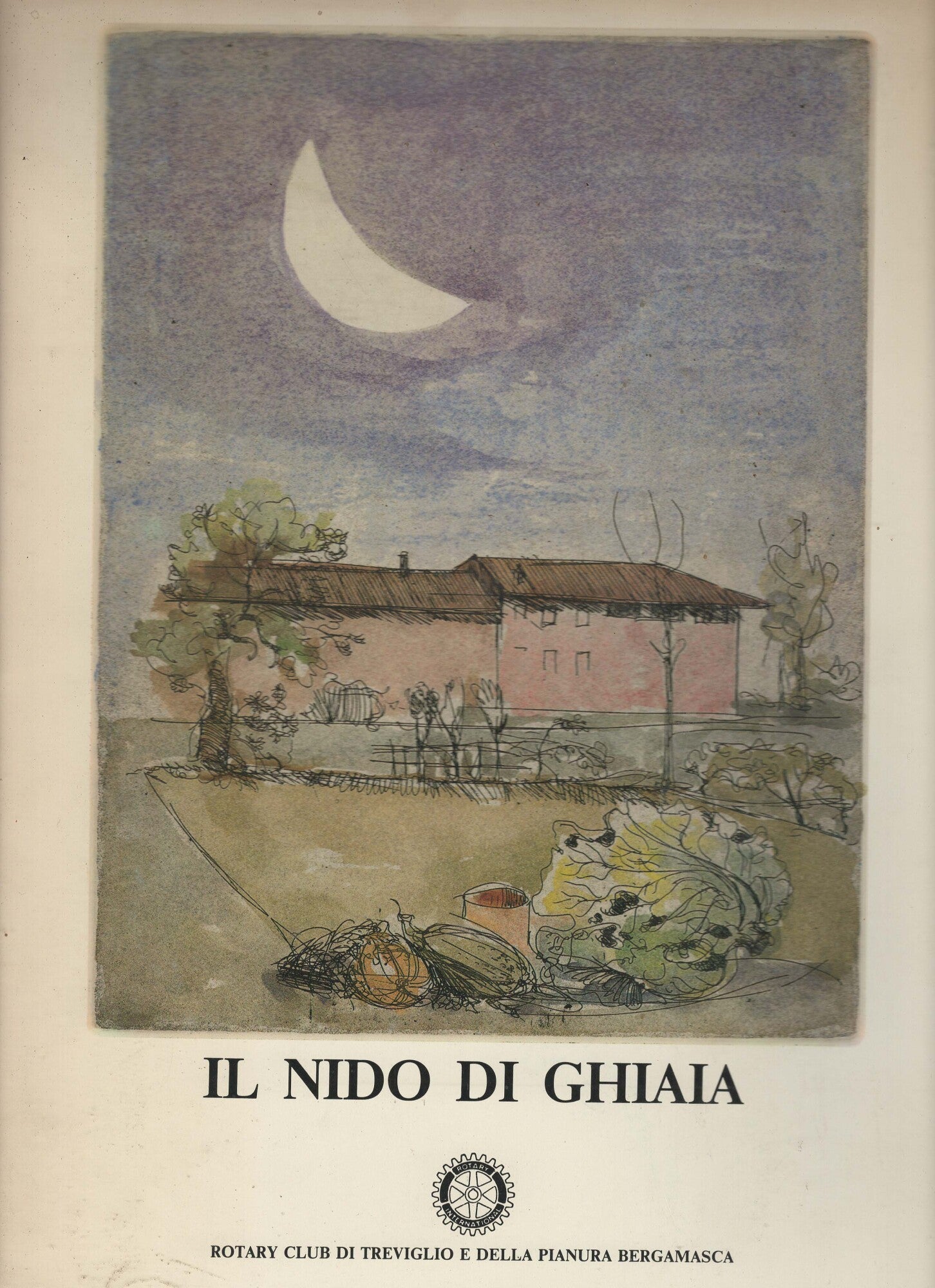 Il nido di ghiaia