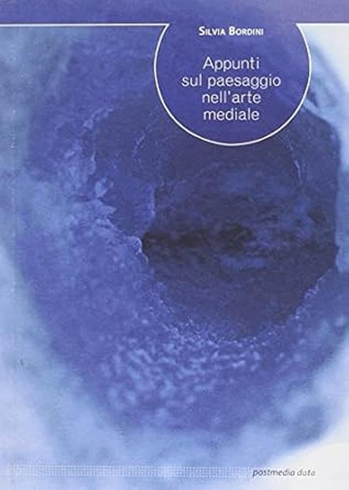 Appunti sul paesaggio nell'arte mediale