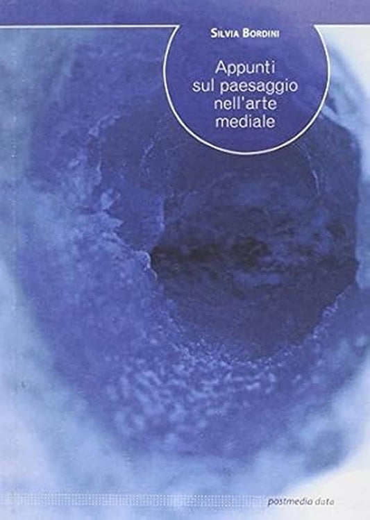 Appunti sul paesaggio nell'arte mediale
