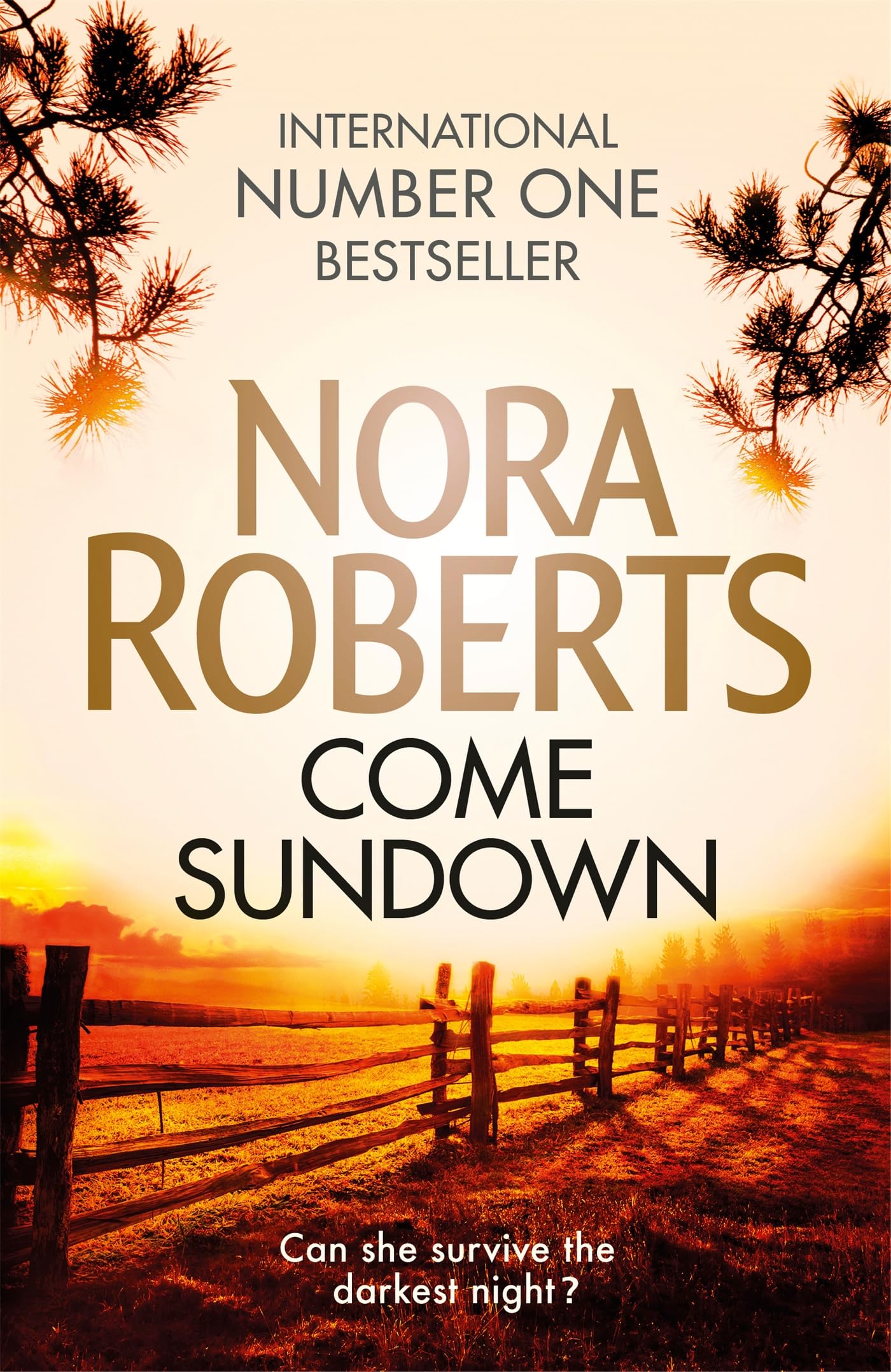 Come sundown: Nora Roberts