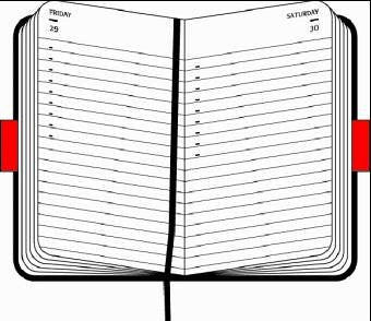 Moleskine Large Diary Daily 2006