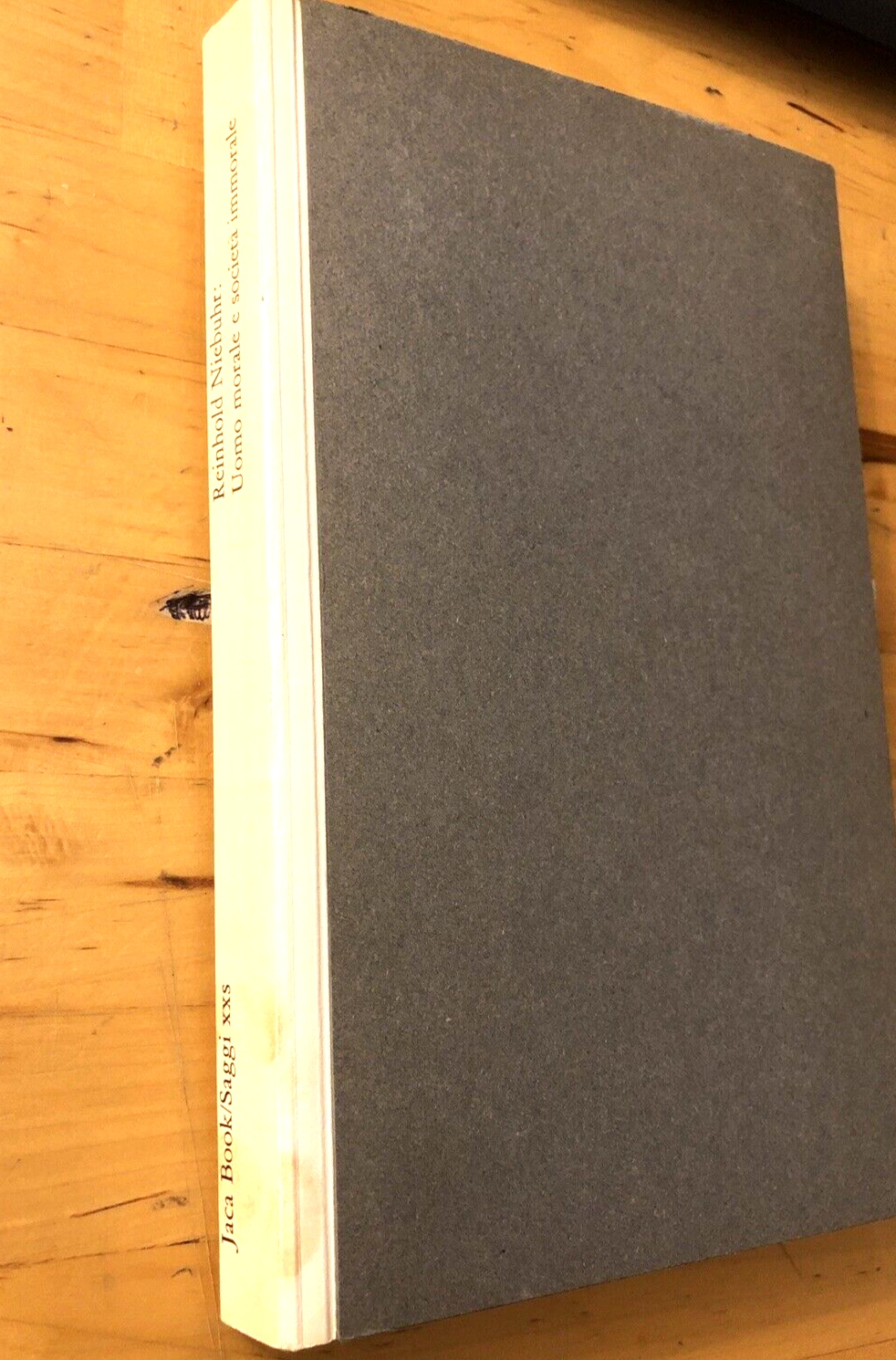 Uomo morale e società immorale