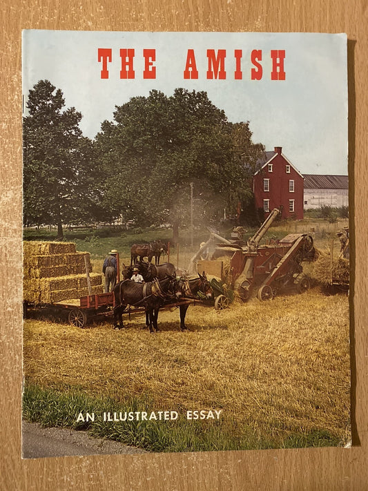 the amish an illutrated essay