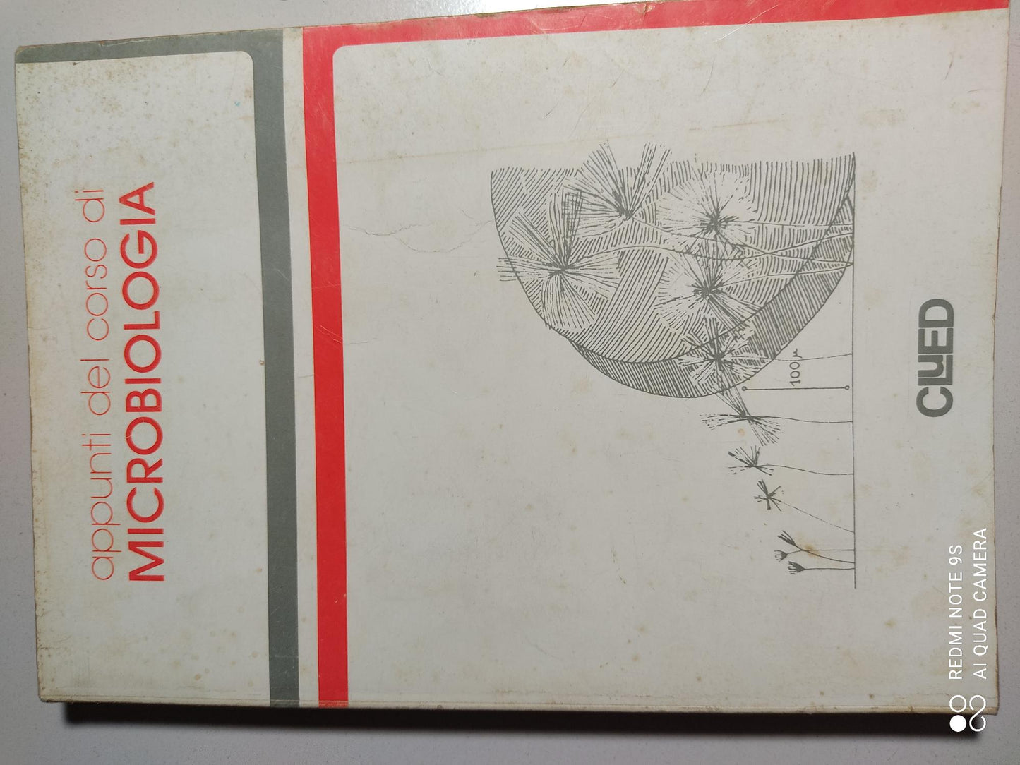 Appunti del corso di microbiologia