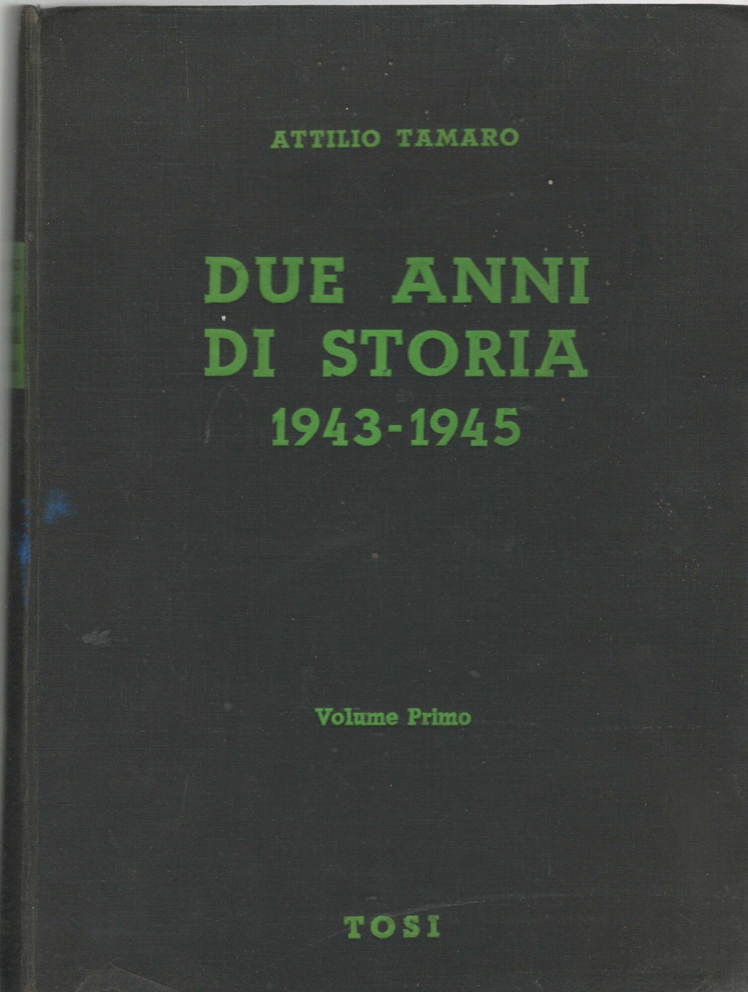 DUE ANNI DI STORIA VOL 1