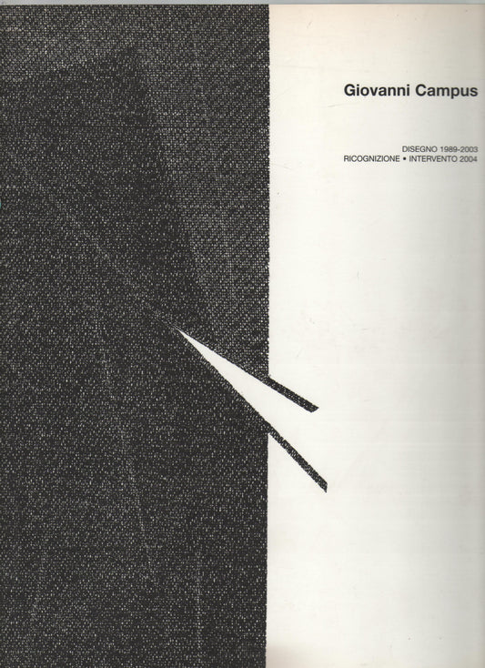Disegno 1989-2003. Ricognizione-intervento 2004