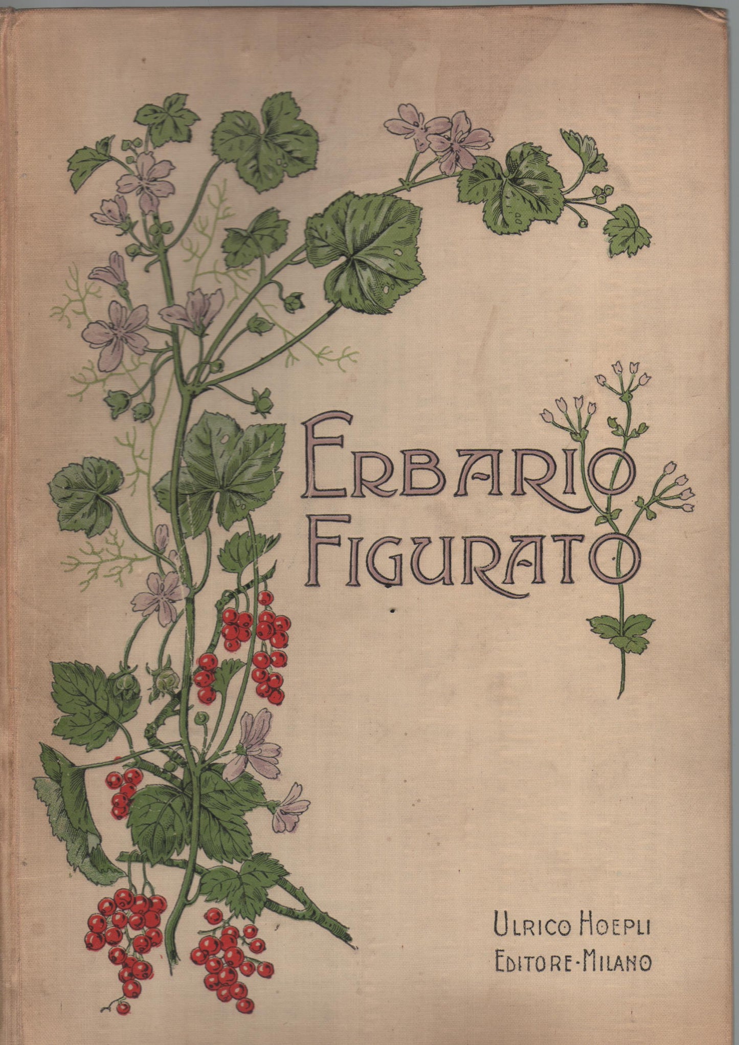 Erbario figurato. Illustrazione e descrizione delle piante usuali con speciale riguardo alle piante medicinali. Pref. del Prof. O. Mattirolo.