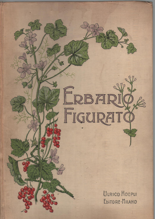 Erbario figurato. Illustrazione e descrizione delle piante usuali con speciale riguardo alle piante medicinali. Pref. del Prof. O. Mattirolo.
