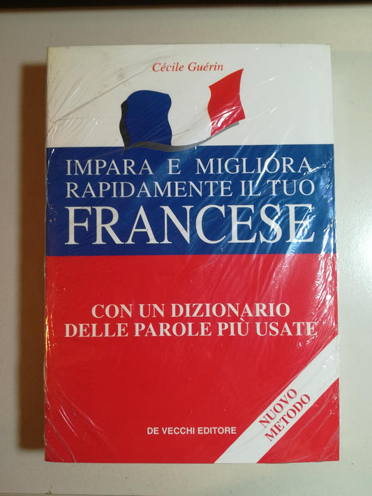 Impara rapidamente il tuo francese. Con un dizionario delle parole più usate