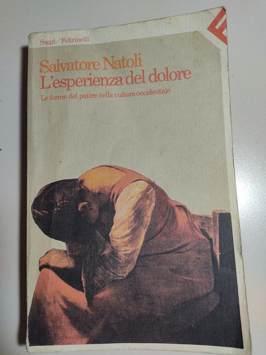 L'esperienza del dolore - Le forme del patire nella cultura occidentale