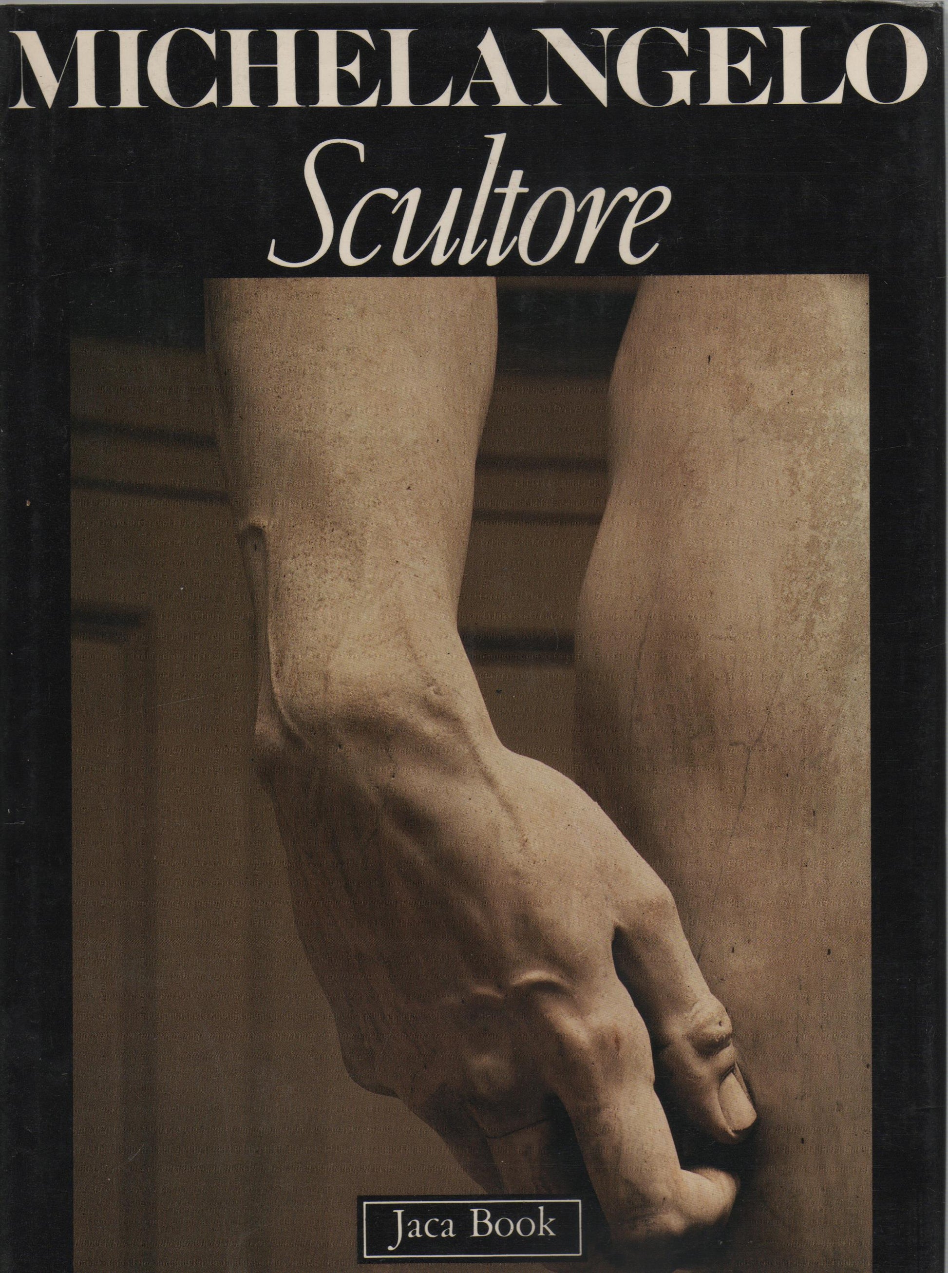 Michelangelo scultore