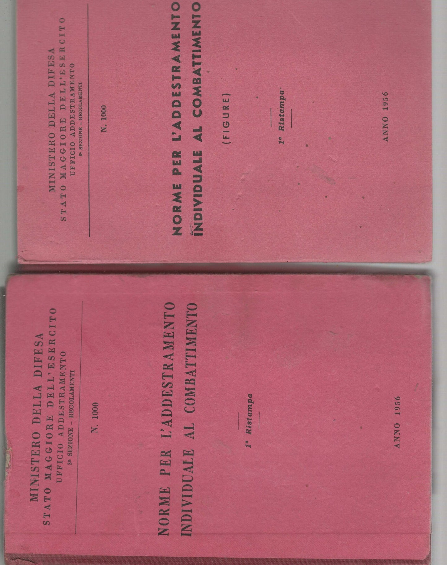 Norme per l'addestramento individuale al combattimento