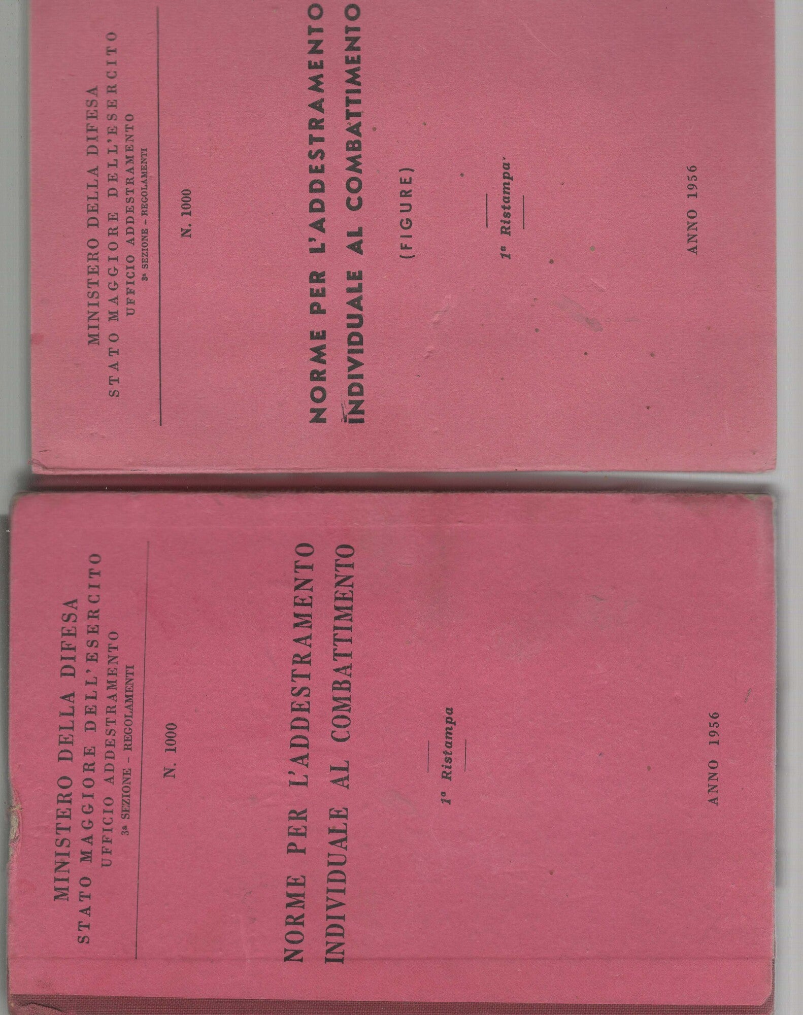 Norme per l'addestramento individuale al combattimento