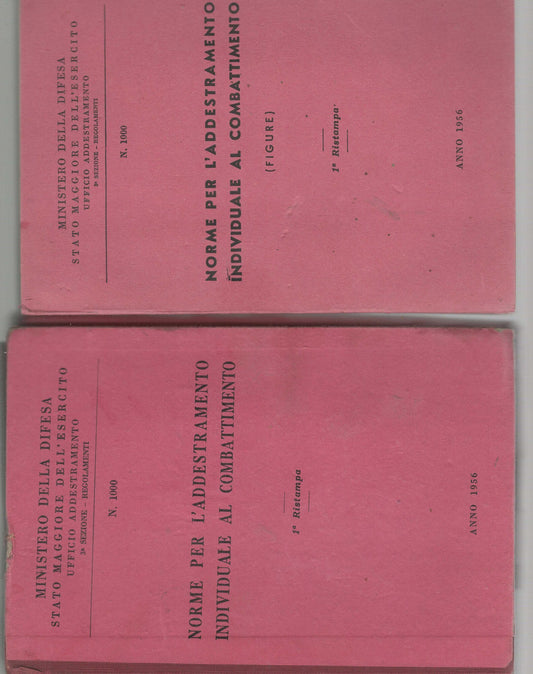 Norme per l'addestramento individuale al combattimento