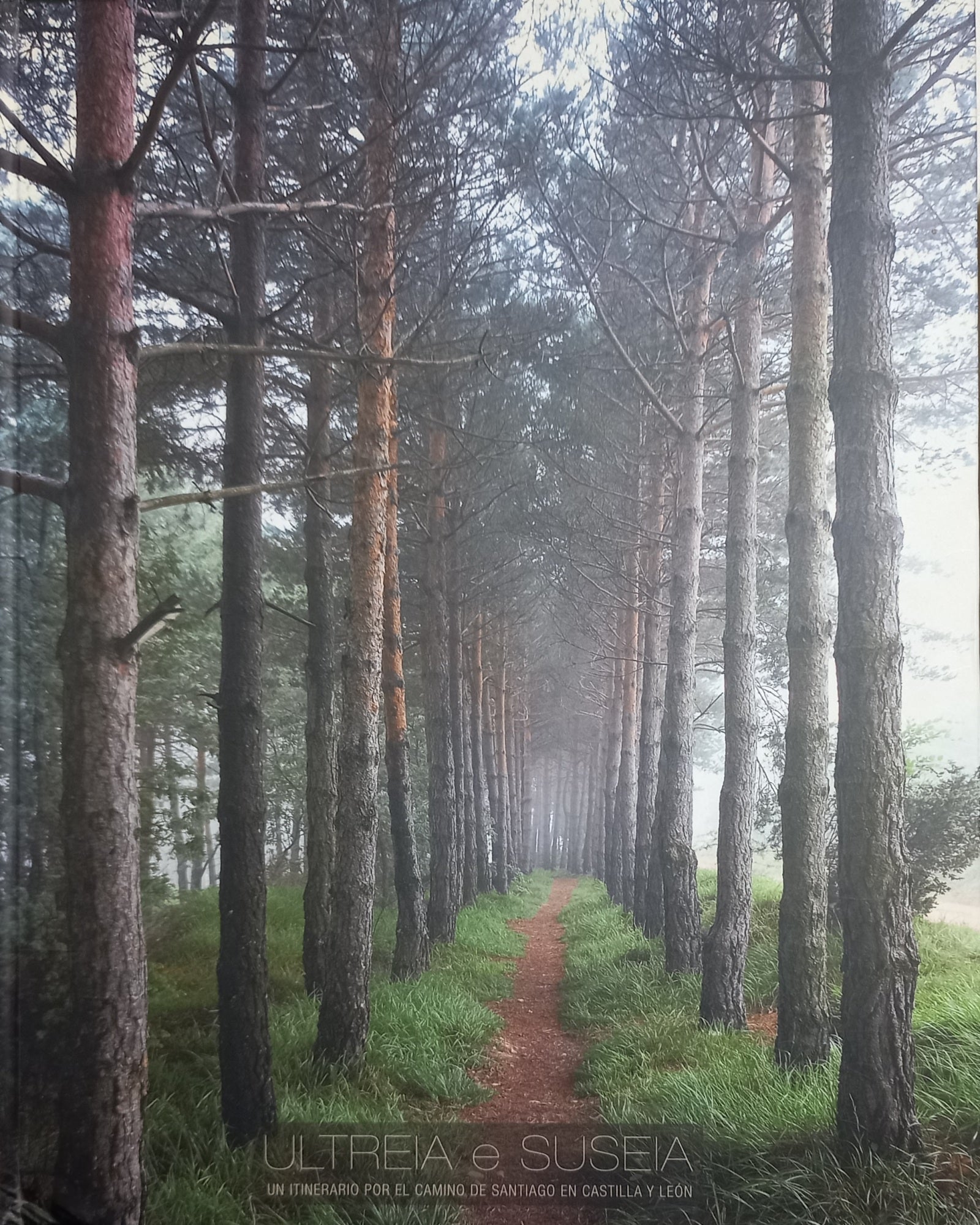 Ultreia e Suseia - un itinerario por el camino de Santiago en Castilla y Leon