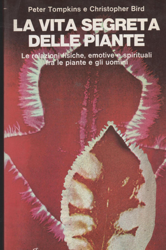 la vita segreta delle piante