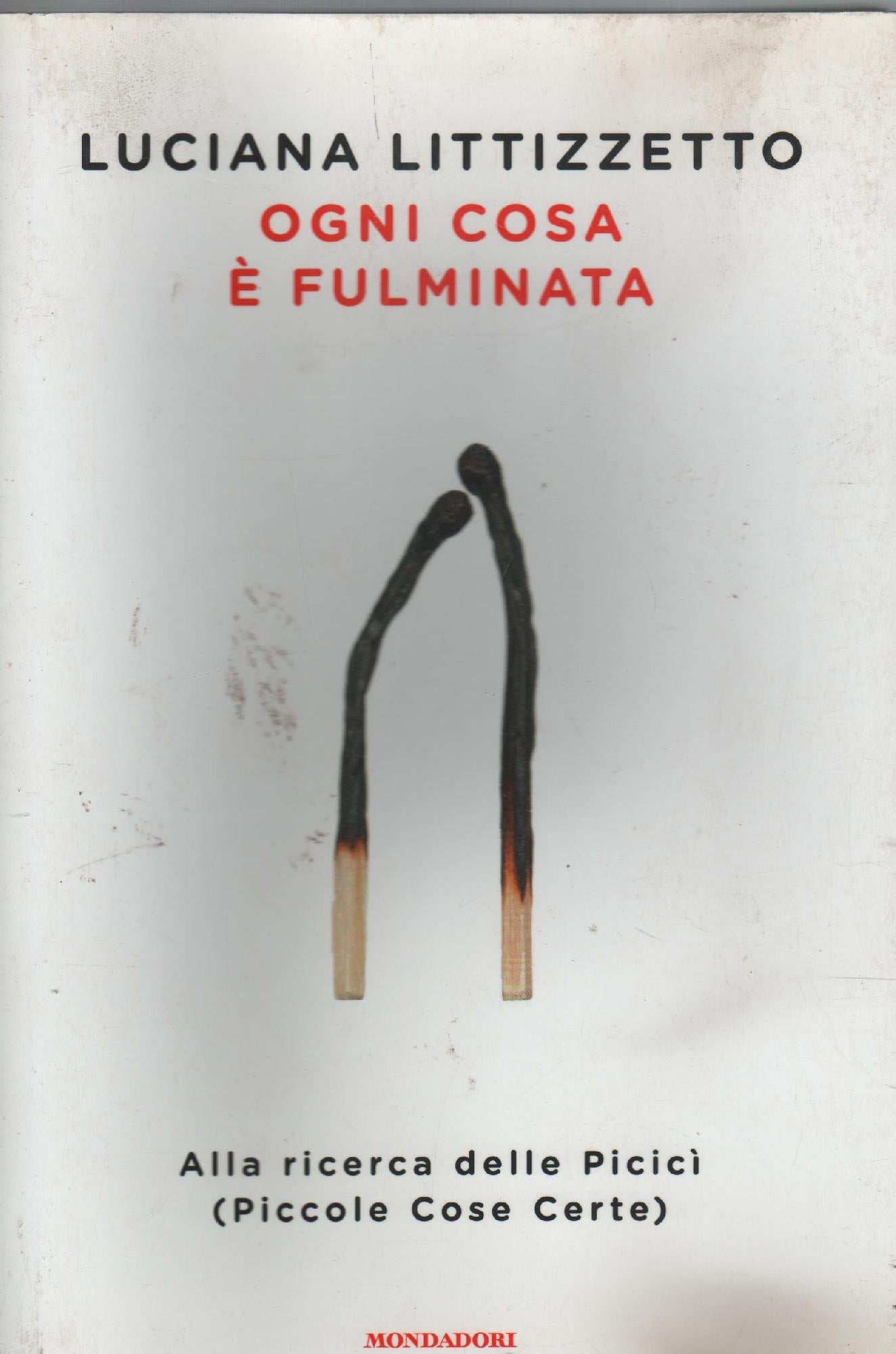 Ogni cosa è fulminata : alla ricerca delle picicì (piccole cose certe)