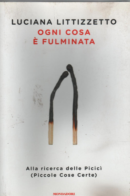 Ogni cosa è fulminata : alla ricerca delle picicì (piccole cose certe)