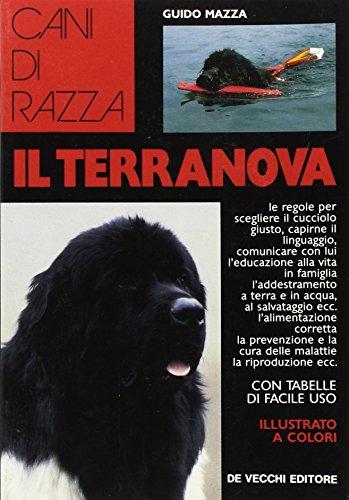 Il terranova