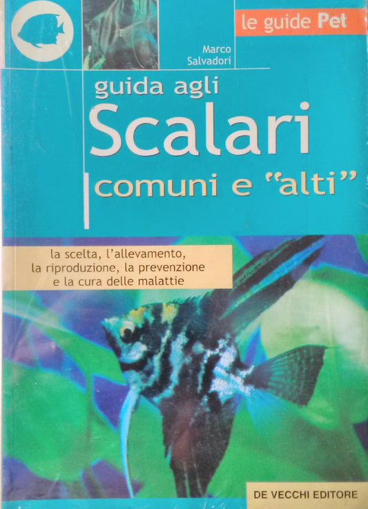 guida agli scalari comuni e «alti»