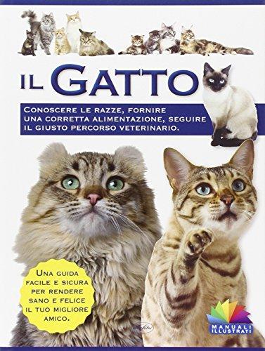 Il gatto