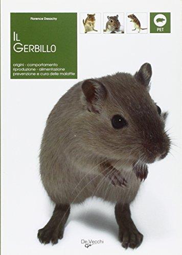 Il gerbillo