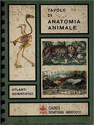 Tavole di anatomia animale