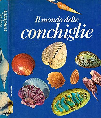 Il mondo delle conchiglie.