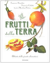 Frutti della terra. Atlante delle piante alimentari. Ediz. illustrata