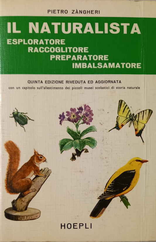 Il naturalista esploratore, raccoglitore, preparatore, imbalsamatore