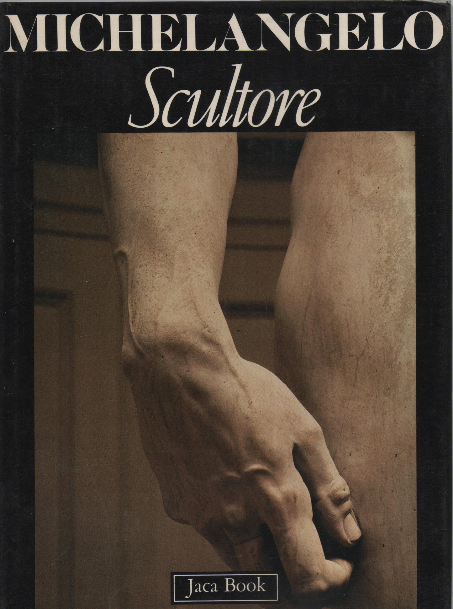 Michelangelo scultore