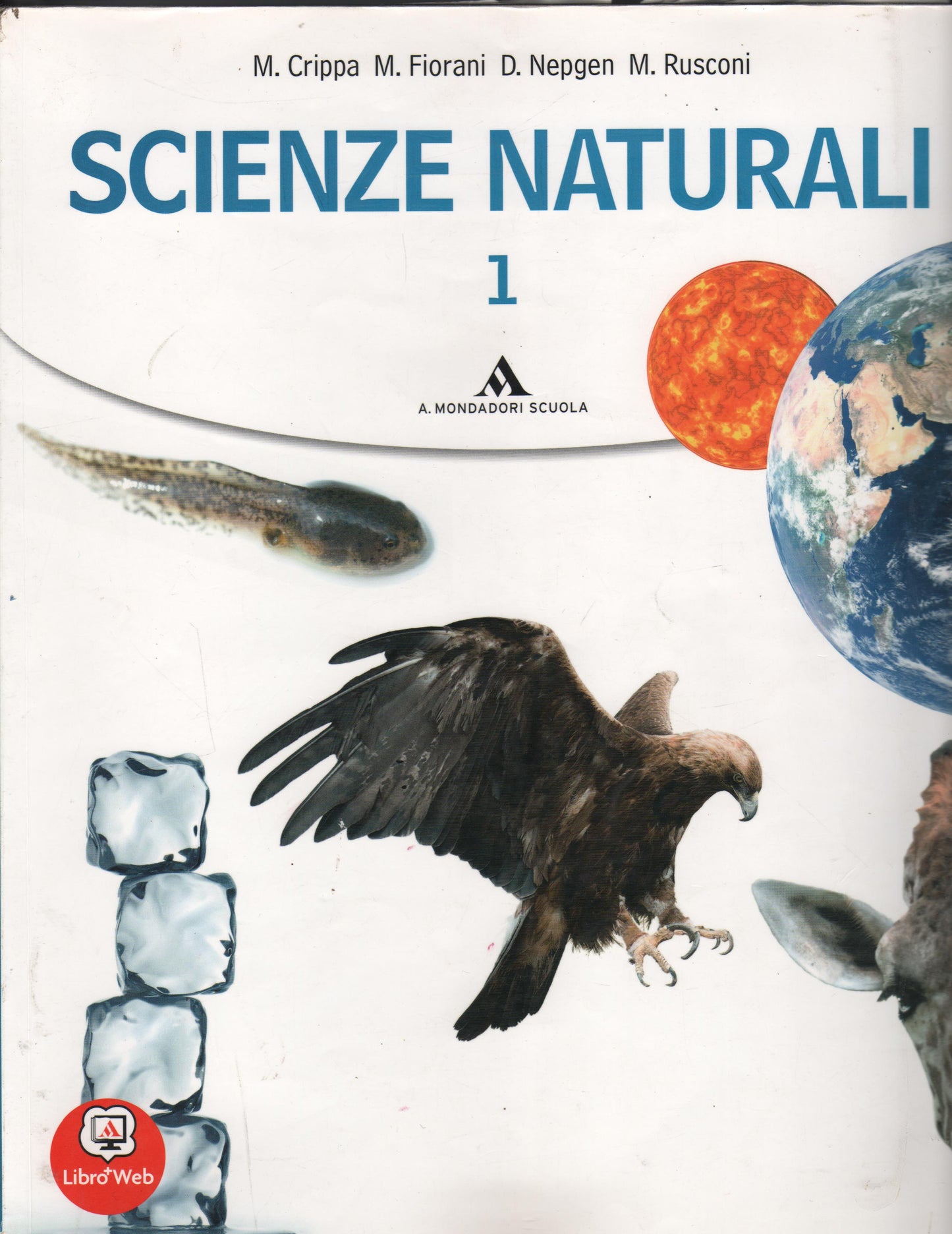 Scienze naturali. Per le Scuole superiori. Con espansione online: 1