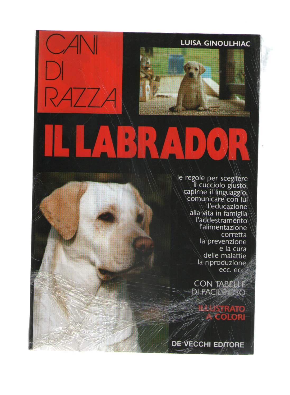 Il Labrador